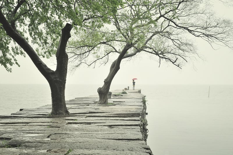 Lakeside Serenity